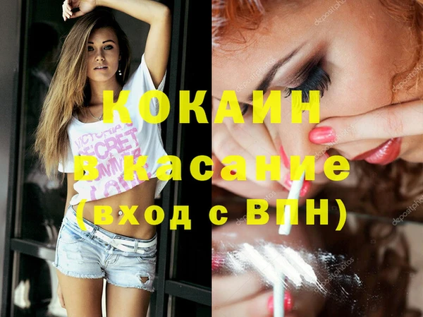 тгк Алексин
