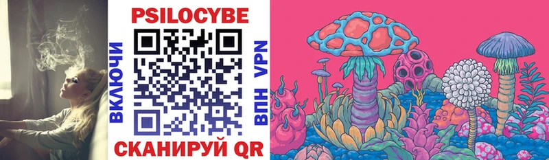 Галлюциногенные грибы Psilocybe  цены   Александровск 